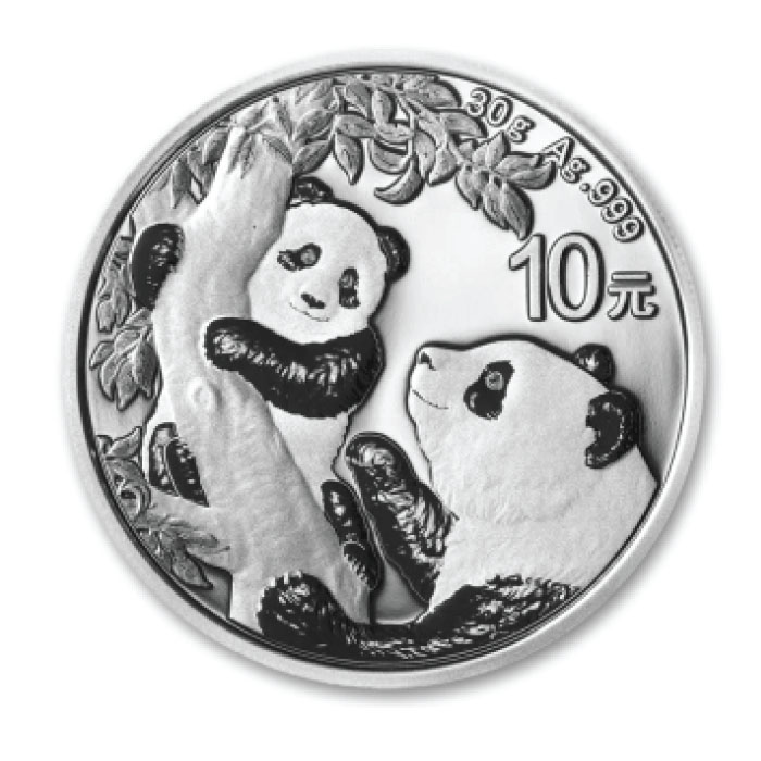 China  Panda Ag999 - 30g #1